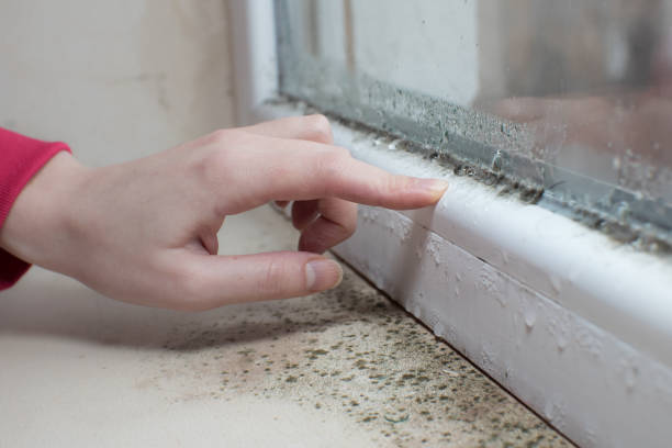 Best Mold Remediation for Healthcare Facilities  in Oberlin, KS