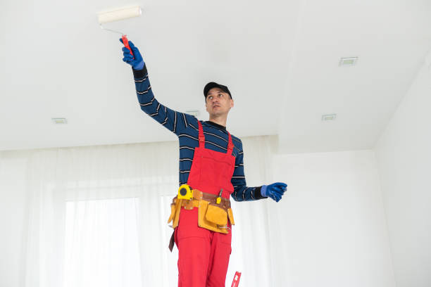 Best Mold Removal for HVAC Installations  in Oberlin, KS