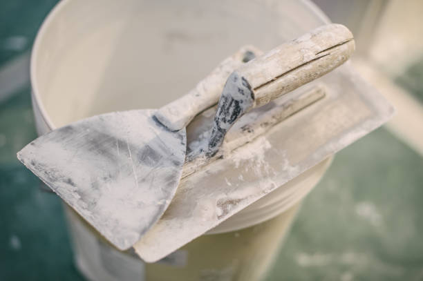 Best Mold Remediation for Rental Properties  in Oberlin, KS