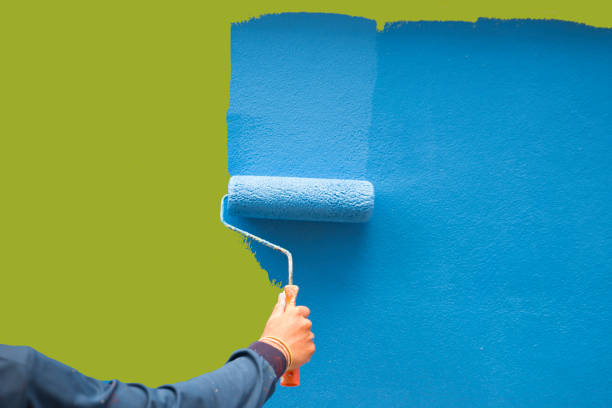 Best Basement Mold Removal  in Oberlin, KS